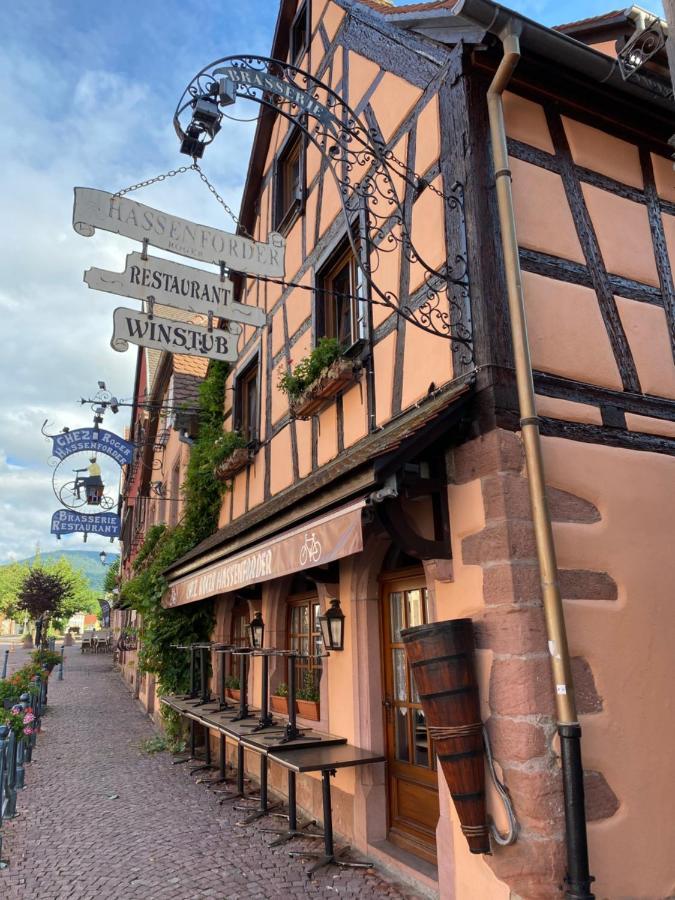 Appartement Le Keiler Kaysersberg-Vignoble Exterior foto